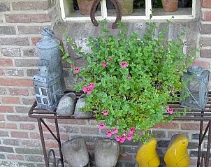 Unterkunft 190303 - Ferienhaus Zuidoost Drenthe - Vakantiehuis in Aalden