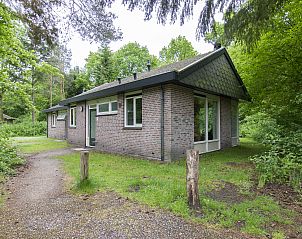 Unterkunft 190305 - Bungalow Zuidoost Drenthe - Aelderholt | 4-persoons bungalow | 4B