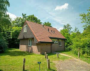 Unterkunft 190338 - Bungalow Zuidoost Drenthe - Aelderholt | 8-persoons bungalow | 8C