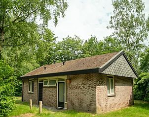 Unterkunft 190340 • Bungalow Zuidoost Drenthe • Aelderholt | 4-persoons bungalow | 4CE 