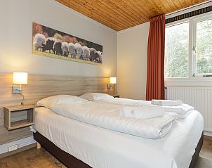 Unterkunft 190348 - Bungalow Zuidoost Drenthe - Aelderholt | 4-persoons babybungalow | 4CN