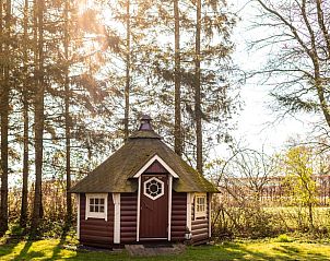 Schattig houten huisje in de zon bij Vakantiehuisje in Roswinkel, Zuidoost Drenthe, Drenthe.