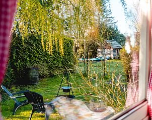 Uitzicht vanuit Vakantiehuis in Roswinkel, Drenthe, op een groene tuin voor een serene ervaring.