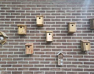 Vogelhuisjes aan de muur bij Huisje in Emmen, vakantiehuis in Drenthe voor natuurliefhebbers.