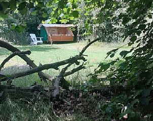 Rustieke setting bij Vakantiehuis in Emmen, met uitzicht op groene omgeving in Drenthe.