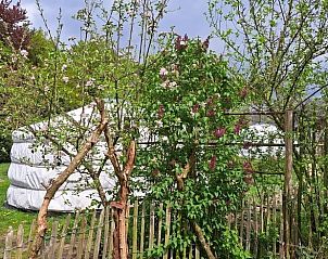 Groene omgeving rondom Huisje in Emmen, vakantiehuis in Zuidoost Drenthe.