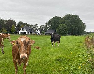 Moderne badkamer in Vakantiehuis in Dalen, Zuidoost Drenthe, met luxe douche en stijlvolle inrichting.
