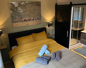 Stijlvolle woonkamer met open haard in Vakantiehuis in Dalen, Zuidoost Drenthe, voor een warme sfeer.