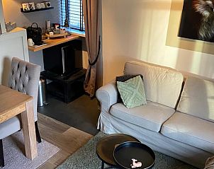 Landelijke omgeving van Vakantiehuis in Dalen, Zuidoost Drenthe, met grazende koeien in de wei.