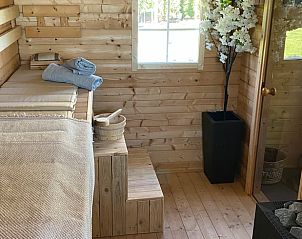 Verlichte tuin met zwembad bij Vakantiehuis in Dalen, Zuidoost Drenthe, voor avondontspanning.