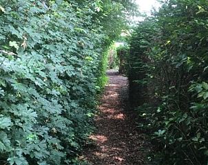 Bosrijke omgeving van Vakantiehuis in Dalen, Zuidoost Drenthe, ideaal voor wandelingen en natuurbeleving.