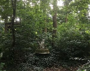 Mooie zonsopgang nabij Vakantiehuis in Dalen, Zuidoost Drenthe, met mist over de velden.