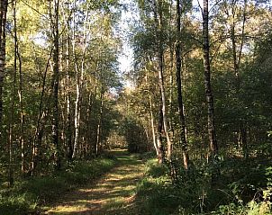 Gezellige high wine en high beer in Vakantiehuis in Dalen, Zuidoost Drenthe, voor culinaire verwennerij.