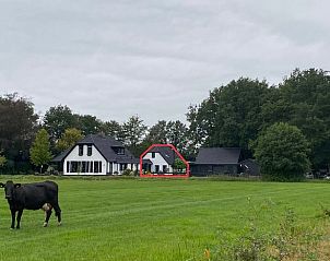 Rustieke omgeving van Huisje in Dalen, vakantiehuis in Drenthe met grazende koeien in de weide.