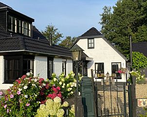 Gezellige tuin van Huisje in Dalen, vakantiehuis in Dalen, Drenthe met kleurrijke bloemen.