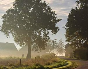 Paarden en koeien in de mistige velden bij Huisje in Dalen, vakantieaccommodatie in Dalen.