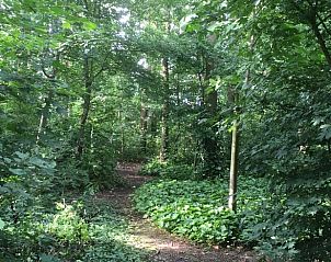 Winterlandschap bij Huisje in Dalen, vakantiehuis in Zuidoost Drenthe met besneeuwde omgeving.