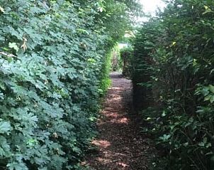 Verblijf 191207 - Vakantiewoning Zuidoost Drenthe - Huisje in Dalen (dorp)