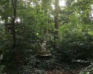 Verblijf 191207 - Vakantiewoning Zuidoost Drenthe - Huisje in Dalen (dorp)