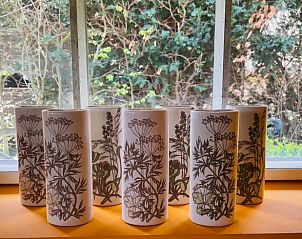 Decoratieve vazen in het vakantiehuis Huisje in Gees, Drenthe, met uitzicht op de tuin.