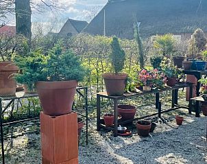 Buitenruimte van Huisje in Gees, Drenthe, met diverse planten en bloemen in potten.