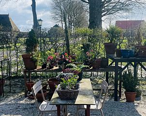 Buitenruimte van Huisje in Gees, Zuidoost Drenthe, met veel groen en comfortabele zitplaatsen.