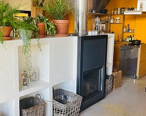 Gezellige woonkamer in Huisje in Gees, Zuidoost Drenthe, met open haard en veel planten.