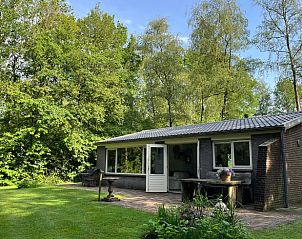 Huisje in Gees, vakantiehuis in Zuidoost Drenthe, met zonnig terras en groene tuin.