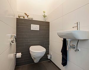 Stijlvolle toiletruimte in Huisje in Gees, vakantiehuis in Zuidoost Drenthe, met moderne afwerking.