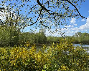 Lentezicht op bloeiende struiken bij een meer nabij Huisje in Gees, vakantiehuis in Zuidoost Drenthe.