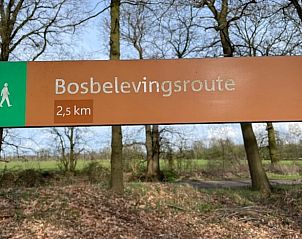 Bosbeleefroute nabij Huisje in Gees, vakantiehuis in Zuidoost Drenthe, perfect voor wandelavonturen.