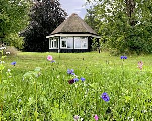 Huisje in Valthe, Zuidoost Drenthe, vakantiehuis omgeven door kleurrijke bloemen en groene natuur.
