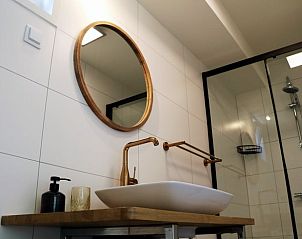 Stijlvolle badkamer in Huisje in Valthe, Drenthe, met luxe wastafel en moderne douche.