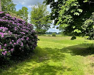 Lentebloemen en groene velden bij Huisje in Valthe, Zuidoost Drenthe, voor een ontspannen vakantie.