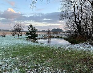 Sereen winterlandschap met vijver bij Huisje in Valthe, Drenthe, met besneeuwde bomen.