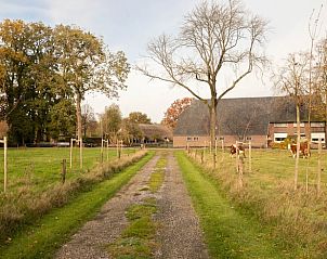 Toegangsweg naar Huisje in Valthe, vakantiehuis in Drenthe met groene velden en bomen.