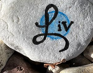 Decoratieve steen in de tuin van Vakantiehuisje in Valthe, Drenthe met persoonlijke touch.