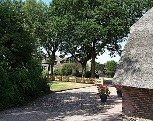Prachtig uitzicht op groene omgeving bij Woonboerderij Kosterhoeve in Valthe, Zuidoost Drenthe.