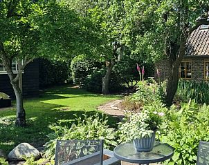 Rustige tuin bij Vakantiehuis in Valthe, omringd door natuur in Zuidoost Drenthe, perfect voor ontspanning.