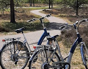 Fietsen langs paden in de buurt van Vakantiehuis in Valthe, geniet van de natuur in Zuidoost Drenthe, Drenthe.
