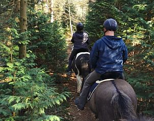 Verblijf 191610 - Vakantiewoning Zuidoost Drenthe - Vakantiehuis in Valthe