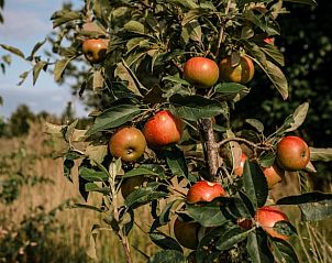 Verblijf 191621 - Vakantiewoning Zuidoost Drenthe - Huisje in Valthe