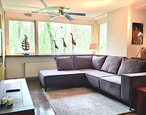 Moderne woonkamer in Vakantiehuis in Schoonoord met ruime bank en decoratieve elementen.