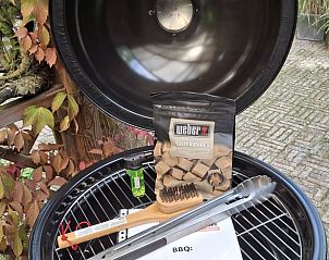 Barbecue-accessoires in Vakantiehuis in Schoonoord, ideaal voor een zomerse maaltijd.