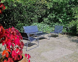 Rustige tuin met zitgelegenheid in Vakantiehuis in Schoonoord, omgeven door groen.