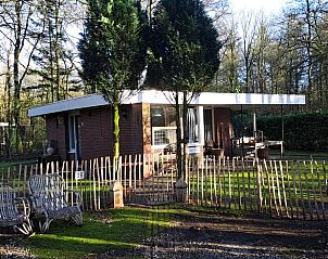 Rustieke buitenruimte van Vakantiehuis in Schoonoord, ideaal voor natuurliefhebbers.