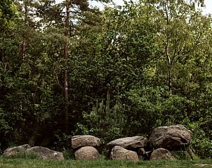 Hunebedden in de omgeving van Vakantiehuisje in Schoonoord, Drenthe voor culturele uitstapjes.