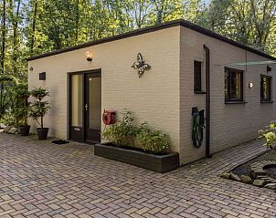 Achterzijde van Huisje in Schoonoord, vakantiehuis in Drenthe, omgeven door bosrijke omgeving.