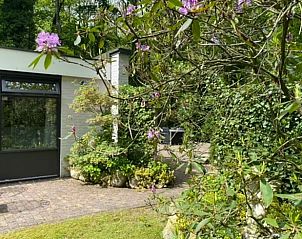 Bloeiende tuin bij Huisje in Schoonoord, vakantiehuis in Drenthe, perfect voor natuurliefhebbers.