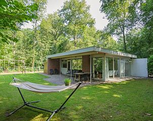 Buitenzijde van Vakantiehuis in Schoonoord, Drenthe met terras, hangmat en groene omgeving.